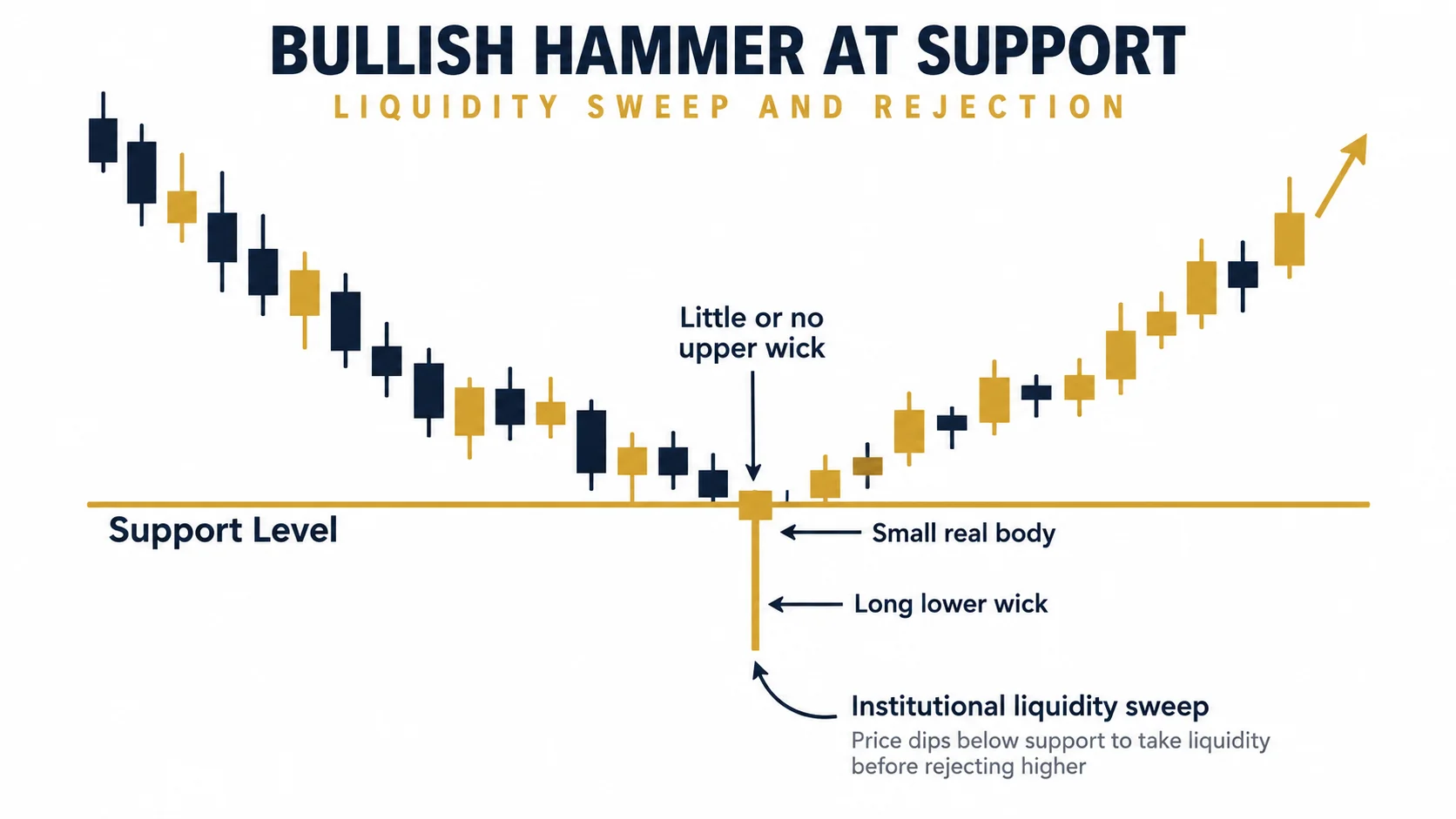A diagram showing a hammer candlestick pattern at a support level, highlighting the long lower wick and small body